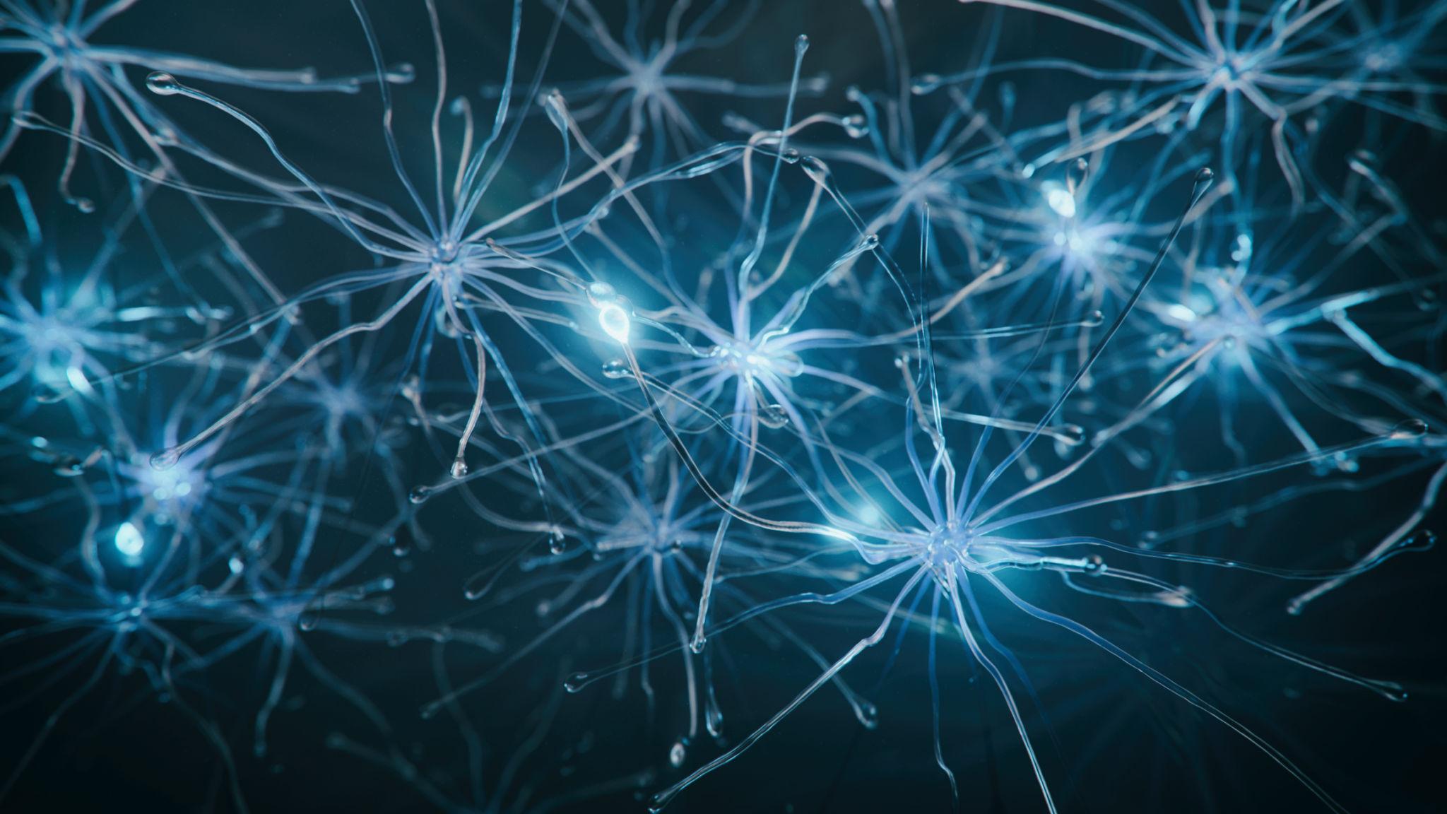 子墨大魔王与硅魂共生的神经突触融合